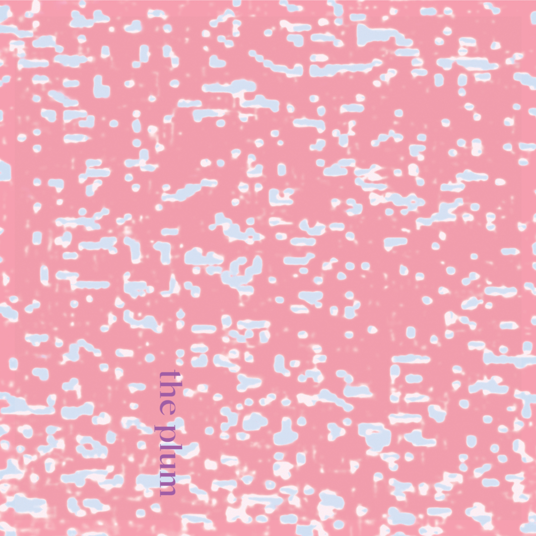 haknam%20%28the.whole.picture%29